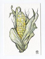 Corn