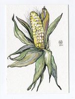 Corn