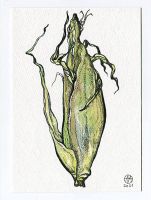 Corn