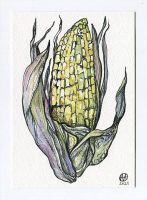 Corn