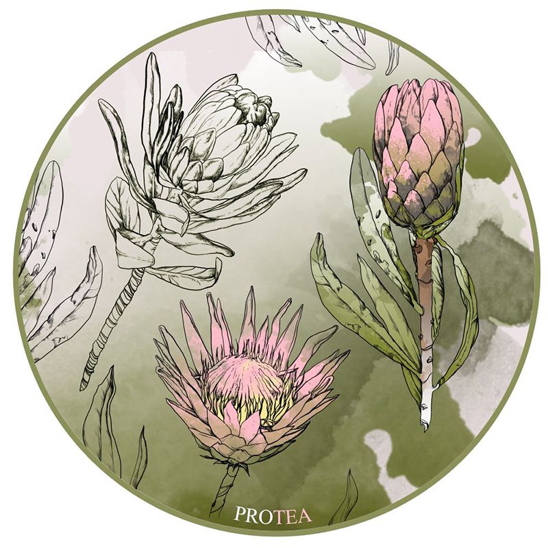 Protea - Мельникова Анастасия - Сайт художника