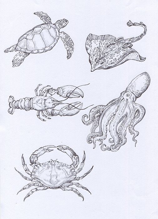 Sea II -  Art of Anastasia Melnikova